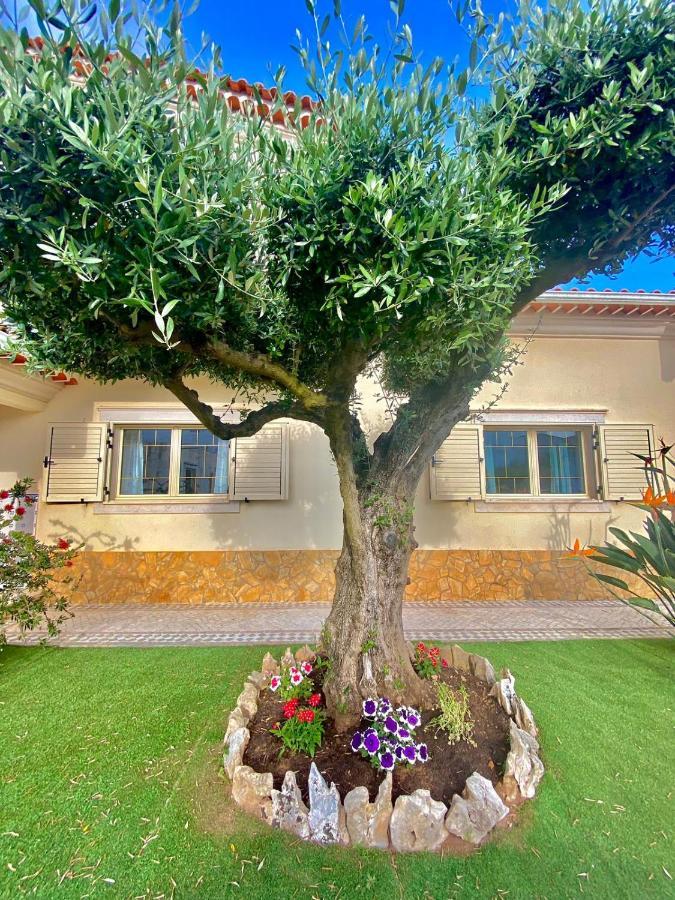 Casa Das Laranjeiras Alqueidão da Serra Екстериор снимка